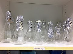 Autoclaved sterile Erlenmeyer flasks covered with aluminium foil