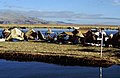 Uros, Titicaca-See