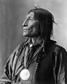 Cheyenne, Southern, porodica Algonquian