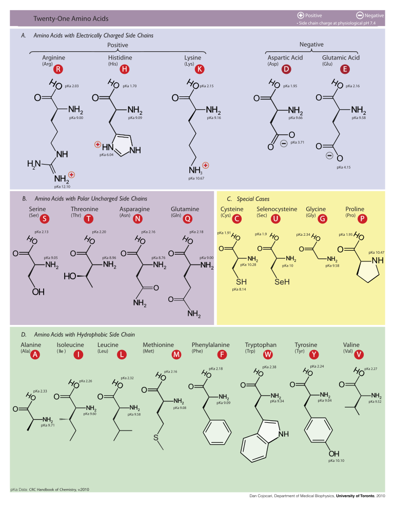 Table of amino acids
