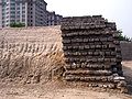 remains of Beijing city wall