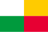 Vlajka statutárního města Plzeň