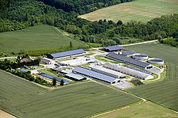Agricultural plant in Hács