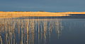 15. Reggel az Inahamne-tónál (Osmussaar, Észtország) (javítás)/(csere)
