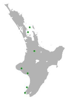 Areál rozšíření druhu v rámci Severního ostrova