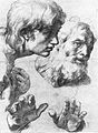 Rafael, Študija glav dveh apostolov in njunih rok