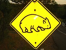 墿邊牌牌畫了蜀頭袋熊，提醒開車其師父着細膩（資料圖）