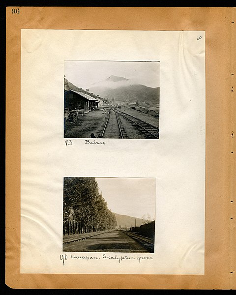 File:Chase album, 1898, 1903, and undated (Page 96) BHL46399531.jpg