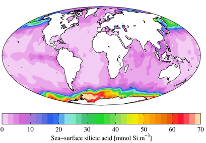 Concentration of silicic acid in the upper pelagic zone,[121] showing high levels in the Southern Ocean