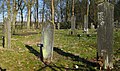 Firthen "heidstanes" at the graveyard o Veenhuizen, Drenthe