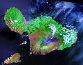 Satelite view of Maui