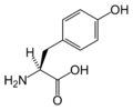 L-тирозин (Tyr / Y)