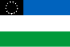 リオ・ネグロ州の旗