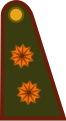 Exército Argentina (General de brigada)