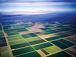 Landbouw in Imperial Valley