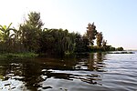 Thumbnail for File:Nile River in Shubra khit, El-Beheira - Egypt .3.jpg