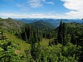 Mount Baker–Snoqualmie National Forest