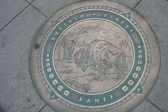 Manhole cover in Banff, Canada