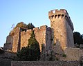 11世紀に建てられたアヴランシュ城のダンジョン跡