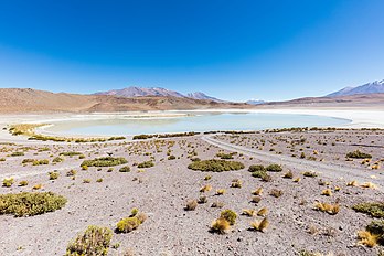 Laguna Honda, uma lagoa boliviana de água salgada situada a 4 114 metros de altitude no departamento de Potosí, próximo à fronteira com o Chile. (definição 8 688 × 5 792)