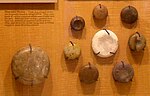 Stone discoidals used for the game of chunkey, found at Winterville