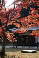 奈良、正暦寺の紅葉