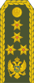 Генерал-полковник (ОФ-9) армії Чорногорії