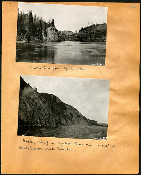 File:Chase album, 1898, 1903, and undated (Page 51) BHL46399433.jpg