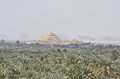 قلعة شالي الأثرية "واحة سيوة"