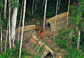 Image 17Members of an uncontacted tribe encountered in Acre in present-day Brazil in 2009 (from Indigenous peoples of the Americas)