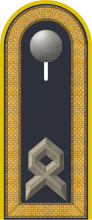 Othala-Rune als Dienstgradabzeichen Hauptfeldwebel der Luftwaffe, Vektorgrafik 2013 erstellt