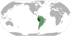 Location of the Viceroyalty of Peru: initial de jure territory 1542–1718 (light green) and final territory 1776–1824 (dark green)