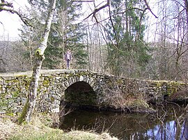 The Varieras bridge