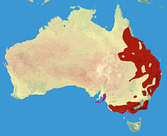 Distribuição original em vermelho, região onde foi introduzido em rosa.