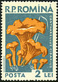 Romaania postmark (1958)