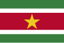 Flagge fan Suriname