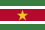 Abbozzo Suriname