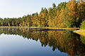 27.) Herbstliches Seeufer, Estland