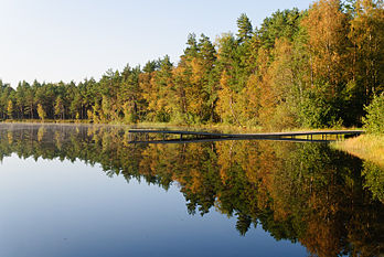 Reflexo do bosque na água. Região de Järva, Estônia. (definição 3 200 × 2 142)