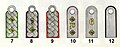 第二次世界大戦中のドイツ軍佐・尉官の階級章。星無しが最初級で、右から少尉・中尉・大尉、少佐・中佐・大佐。縁取り（尉官）や台布（佐官）の色は兵科を示す。