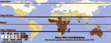 Unlabeled Renatto Luschan Skin color map.svg