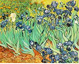 Iris de Van Gogh (1889)