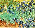 Irises. 1889. oil on canvas medium QS:P186,Q296955;P186,Q12321255,P518,Q861259 , 71.1 × 93 cm (27.9 × 36.6 in)