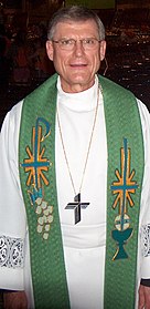 米国のルター派（ミズーリ・シノッド（英語版））牧師 ローマ・カトリックや聖公会と同様、アルブの上に典礼色のストールを着用している