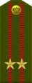 Cấp hiệu лейтенант полковник Lực lượng vũ trang Liên Bang Nga