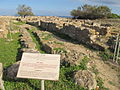 Veduta del sito archeologico