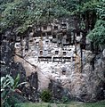 مقبره توراجان در یک صخره سنگی مرتفع یکی از جاذبه‌های گردشگری تانا توراجا است.