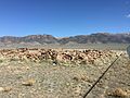 Thumbnail for File:2015-04-02 14 52 07 Stagecoach station ruins at the Cold Springs Stagecoach Station, Nevada.JPG