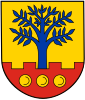 Wapen van Ascheberg (Coesfeld)