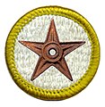 I, Wim van Dorst, give you this Scouting barnstar for your excellent input to get Baden-Powell House to Featured Article